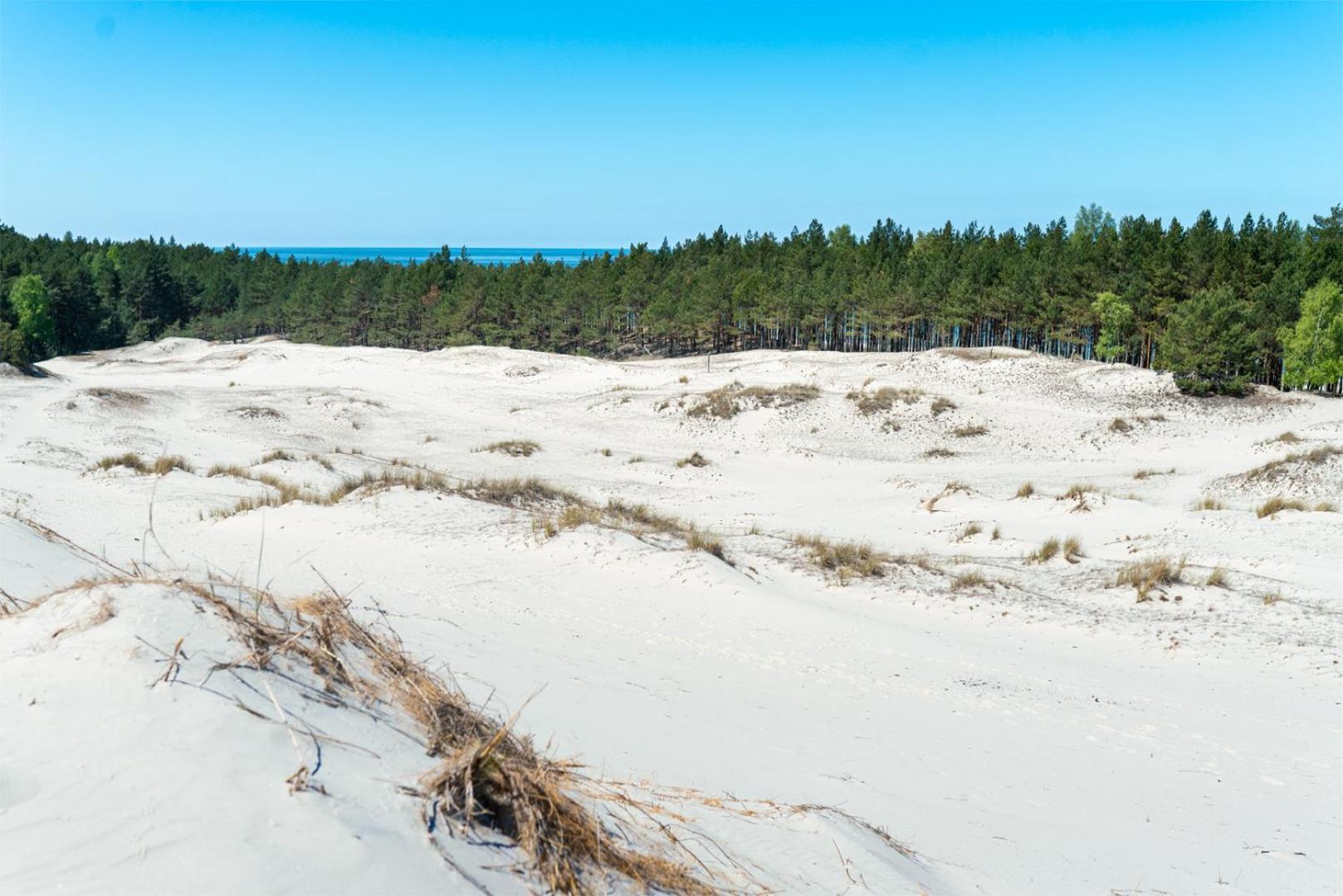 Lubiatowe Holiday home